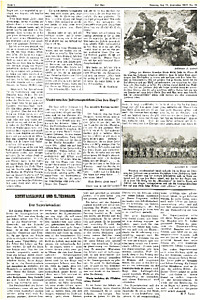 51336-Thumbnail Image.jpg