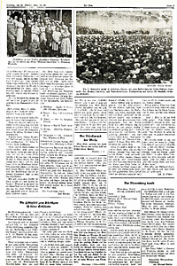 51425-Thumbnail Image.jpg