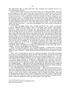 51942-Thumbnail Image.jpg