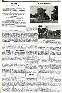 51143-Thumbnail Image.jpg