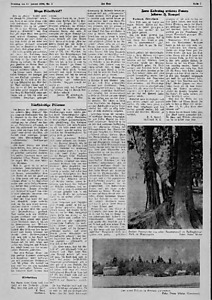 53970-Thumbnail Image.jpg