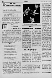 54737-Thumbnail Image.jpg