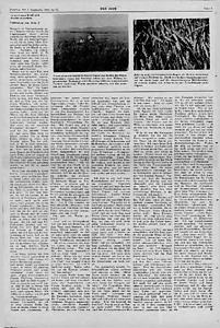 55009-Thumbnail Image.jpg