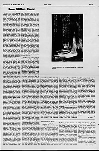 55089-Thumbnail Image.jpg