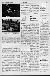 55115-Thumbnail Image.jpg