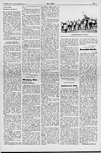 55130-Thumbnail Image.jpg
