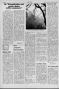 55155-Thumbnail Image.jpg