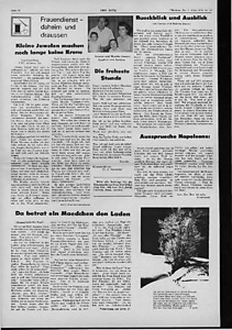 55341-Thumbnail Image.jpg