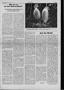 55381-Thumbnail Image.jpg