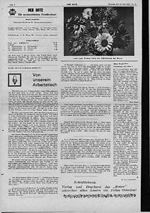 55382-Thumbnail Image.jpg