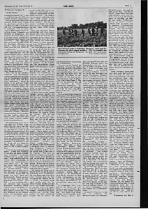 55383-Thumbnail Image.jpg