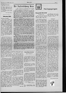 55385-Thumbnail Image.jpg