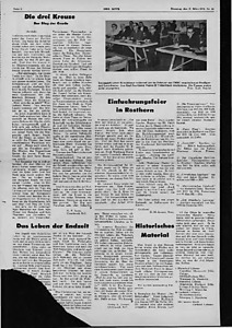 55393-Thumbnail Image.jpg