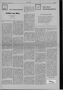 55564-Thumbnail Image.jpg