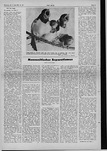 55597-Thumbnail Image.jpg