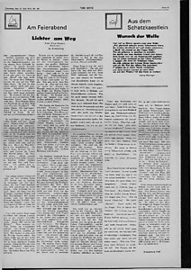 55603-Thumbnail Image.jpg