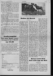 55757-Thumbnail Image.jpg