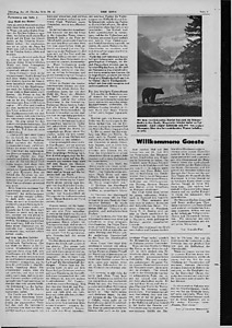 55794-Thumbnail Image.jpg