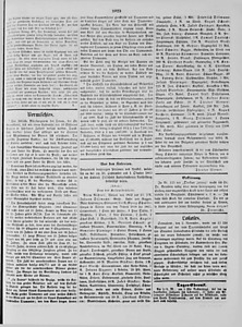 73272-Thumbnail Image.jpg
