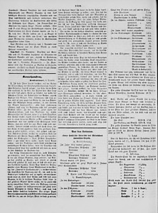 73379-Thumbnail Image.jpg