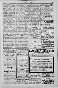 73633-Thumbnail Image.jpg