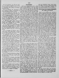 76284-Thumbnail Image.jpg