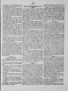 76318-Thumbnail Image.jpg