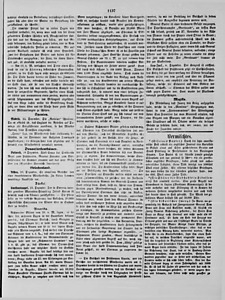 76374-Thumbnail Image.jpg