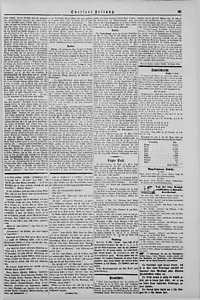 76655-Thumbnail Image.jpg