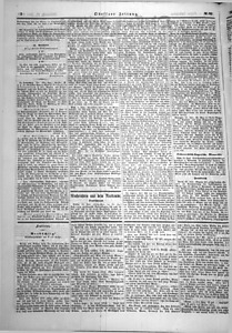 80650-Thumbnail Image.jpg