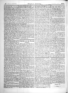 80696-Thumbnail Image.jpg