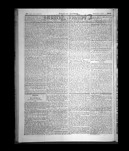80736-Thumbnail Image.jpg