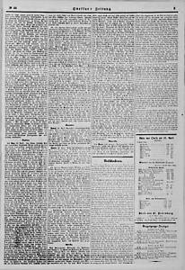 84049-Thumbnail Image.jpg