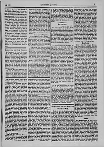 87313-Thumbnail Image.jpg