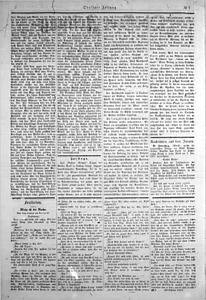 88074-Thumbnail Image.jpg