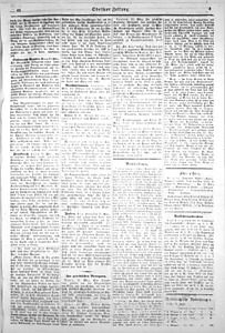 88381-Thumbnail Image.jpg