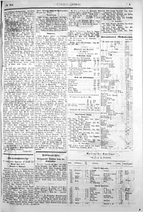89102-Thumbnail Image.jpg