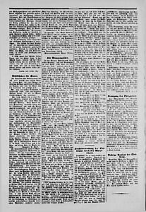 89778-Thumbnail Image.jpg