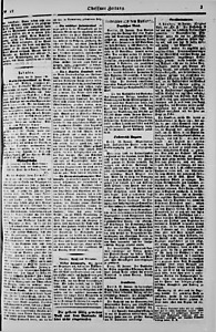 91251-Thumbnail Image.jpg