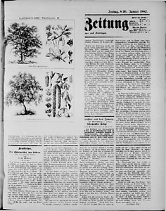 94823-Thumbnail Image.jpg