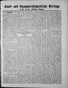 96795-Thumbnail Image.jpg