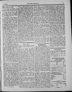 97379-Thumbnail Image.jpg