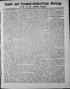 97613-Thumbnail Image.jpg