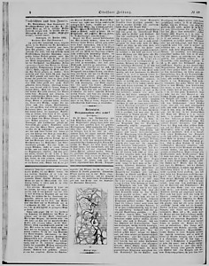 99215-Thumbnail Image.jpg