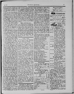 99338-Thumbnail Image.jpg