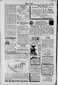 133085-Thumbnail Image.jpg