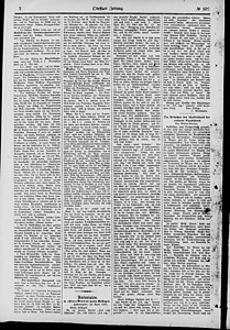 135032-Thumbnail Image.jpg