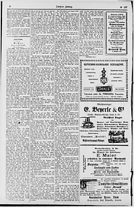 136113-Thumbnail Image.jpg