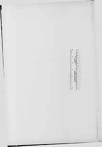 143277-Thumbnail Image.jpg