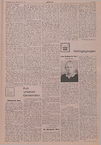 147782-Thumbnail Image.jpg